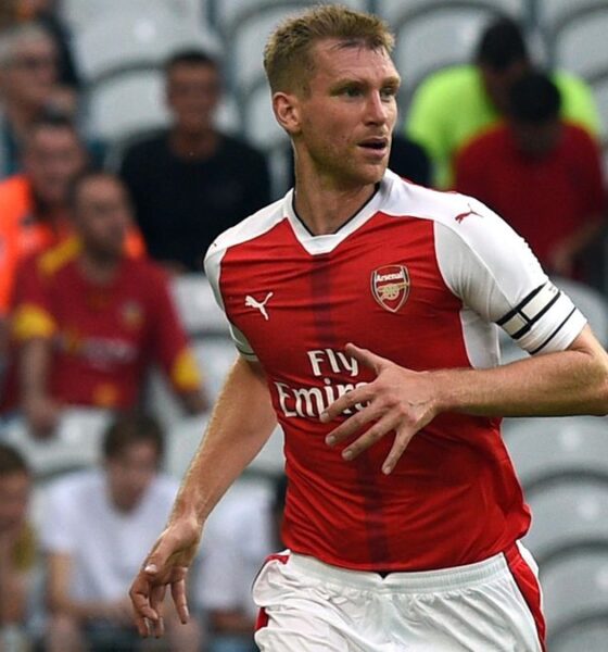 peer mertesacker