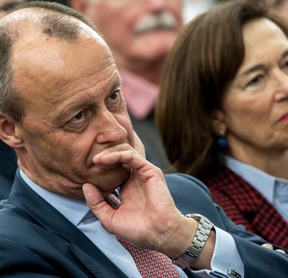Friedrich Merz Privatvermögen