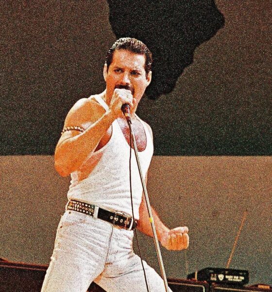 freddie mercury letztes bild