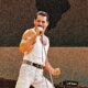 freddie mercury letztes bild
